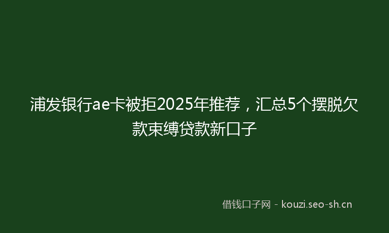 浦发银行ae卡被拒2025年推荐，汇总5个摆脱欠款束缚贷款新口子
