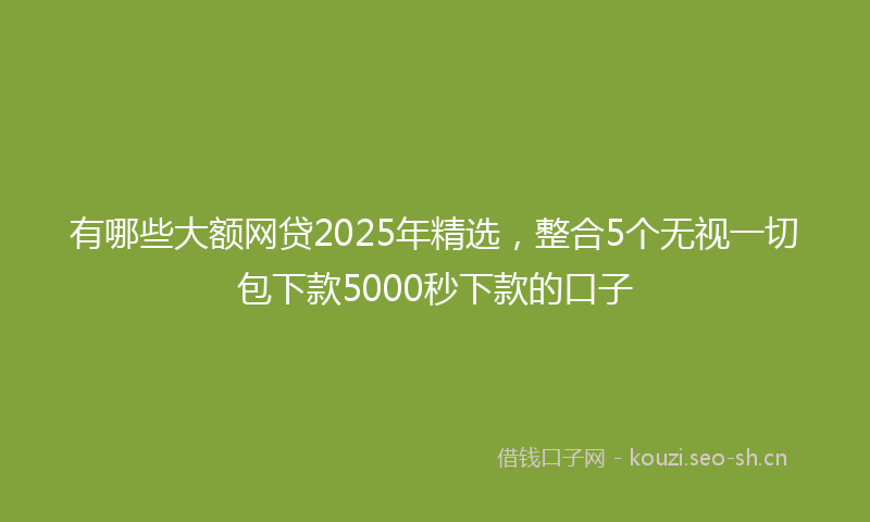 有哪些大额网贷2025年精选，整合5个无视一切包下款5000秒下款的口子