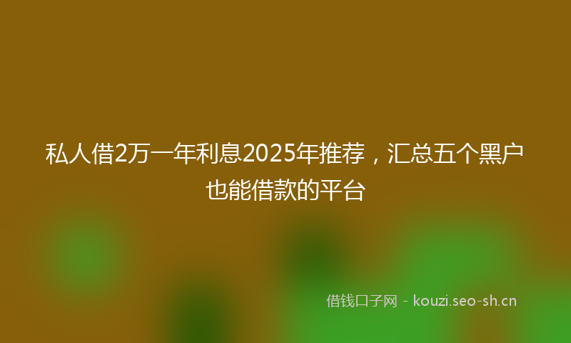 私人借2万一年利息2025年推荐，汇总五个黑户也能借款的平台
