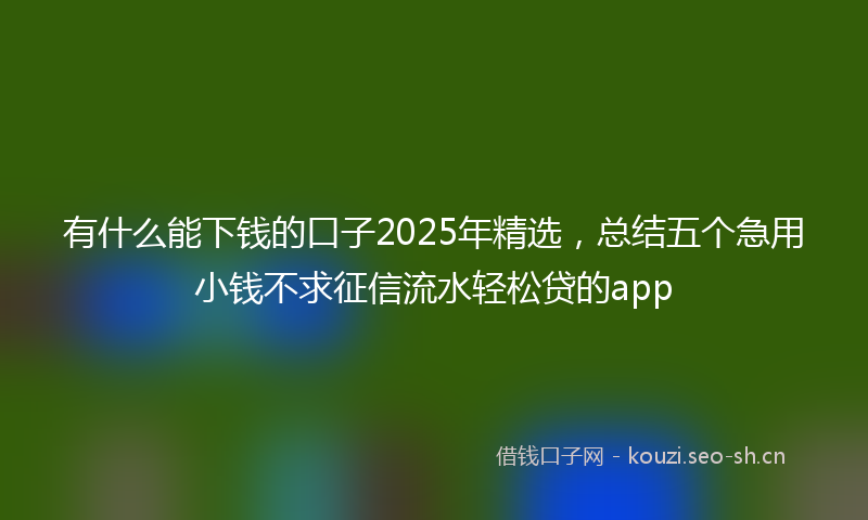 有什么能下钱的口子2025年精选，总结五个急用小钱不求征信流水轻松贷的app