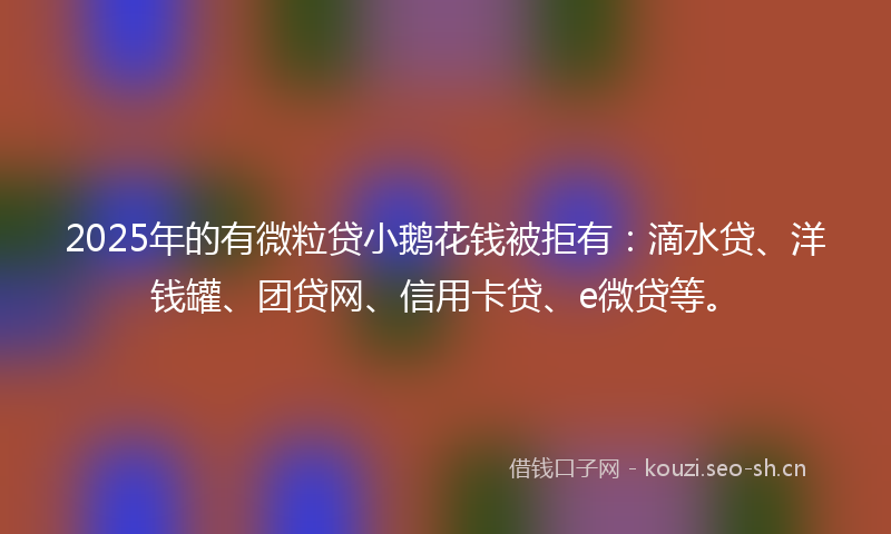 2025年的有微粒贷小鹅花钱被拒有：滴水贷、洋钱罐、团贷网、信用卡贷、e微贷等。