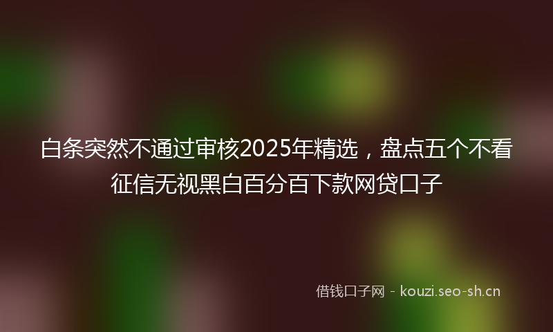 白条突然不通过审核2025年精选，盘点五个不看征信无视黑白百分百下款网贷口子