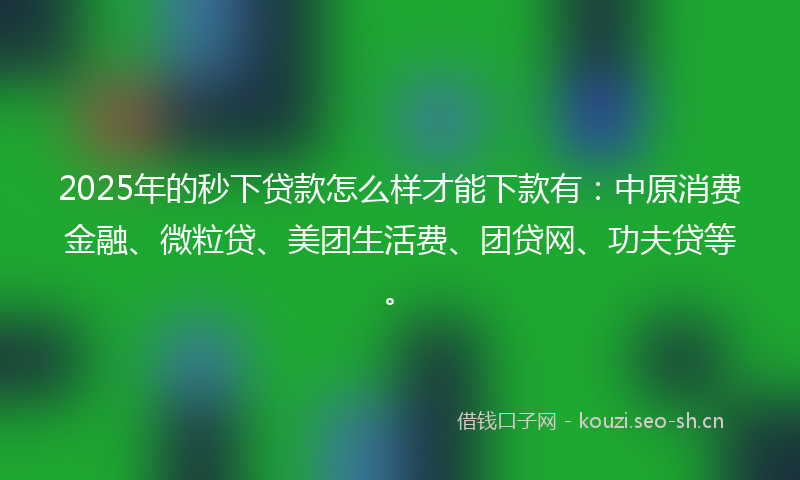 2025年的秒下贷款怎么样才能下款有：中原消费金融、微粒贷、美团生活费、团贷网、功夫贷等。