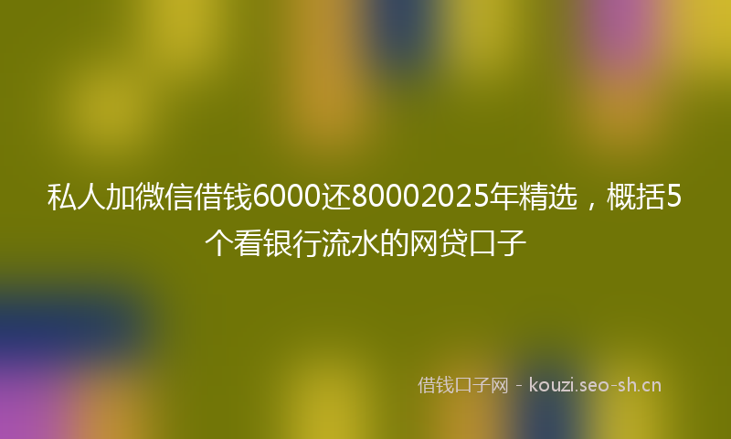 私人加微信借钱6000还80002025年精选，概括5个看银行流水的网贷口子