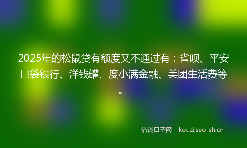2025年的松鼠贷有额度又不通过有：省呗、平安口袋银行、洋钱罐、度小满金融、美团生活费等。