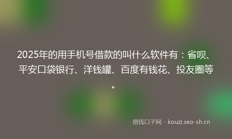 2025年的用手机号借款的叫什么软件有：省呗、平安口袋银行、洋钱罐、百度有钱花、投友圈等。