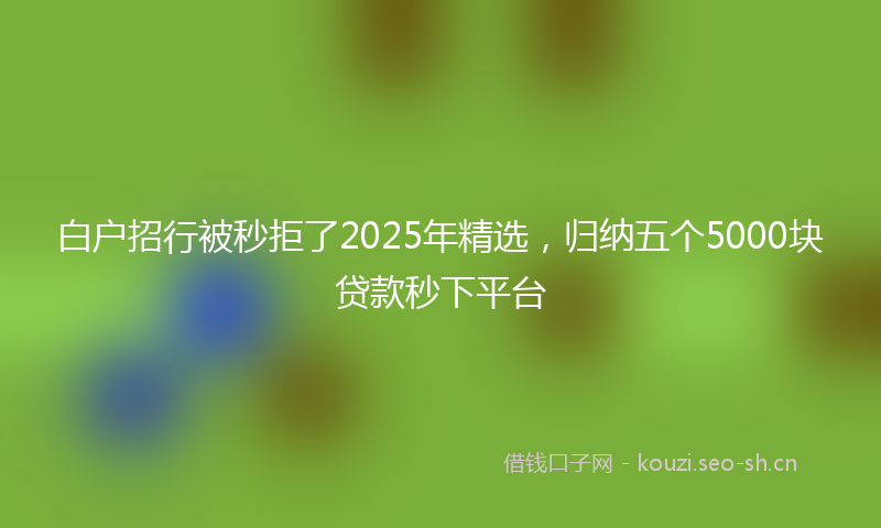 白户招行被秒拒了2025年精选，归纳五个5000块贷款秒下平台