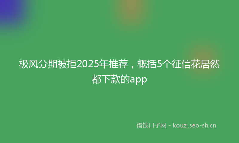 极风分期被拒2025年推荐，概括5个征信花居然都下款的app