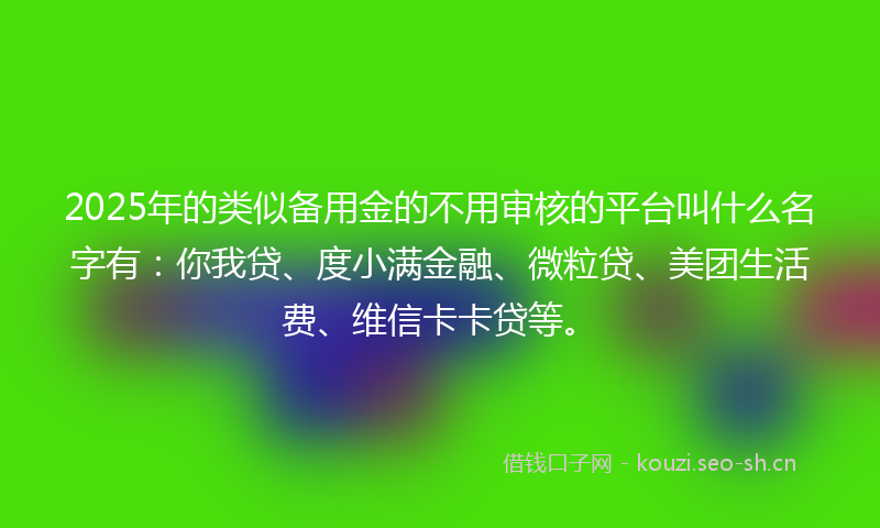 2025年的类似备用金的不用审核的平台叫什么名字有：你我贷、度小满金融、微粒贷、美团生活费、维信卡卡贷等。