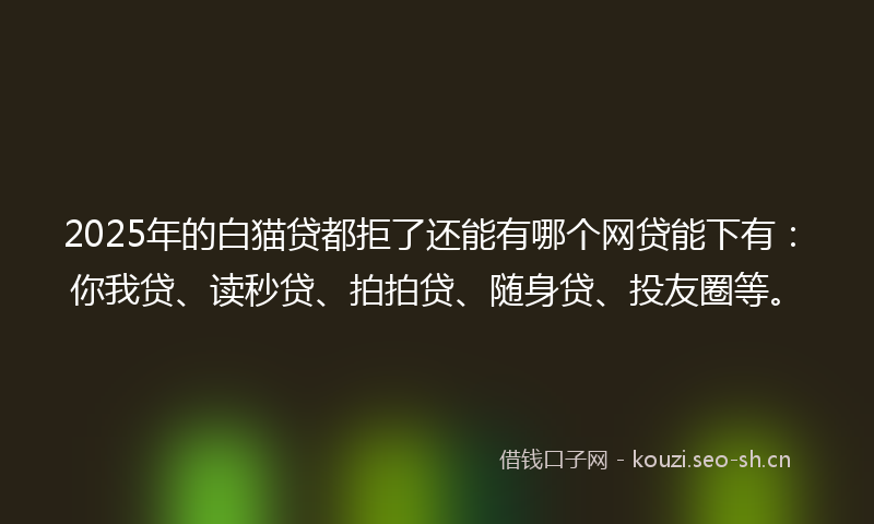 2025年的白猫贷都拒了还能有哪个网贷能下有:你我贷、读秒贷、拍拍贷、随身贷、投友圈等。