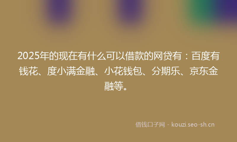 2025年的现在有什么可以借款的网贷有：百度有钱花、度小满金融、小花钱包、分期乐、京东金融等。