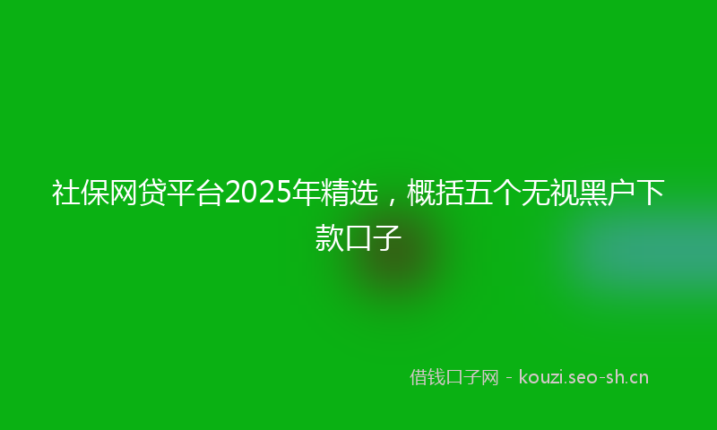 社保网贷平台2025年精选，概括五个无视黑户下款口子