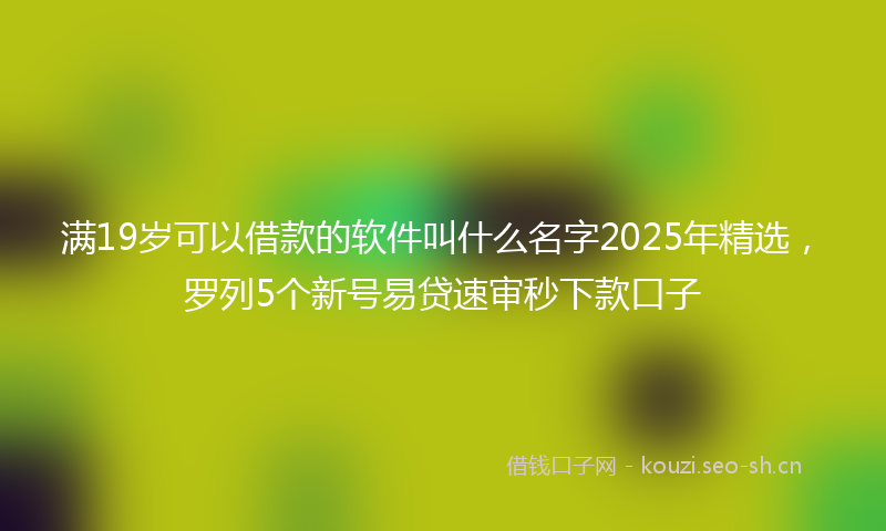 满19岁可以借款的软件叫什么名字2025年精选，罗列5个新号易贷速审秒下款口子