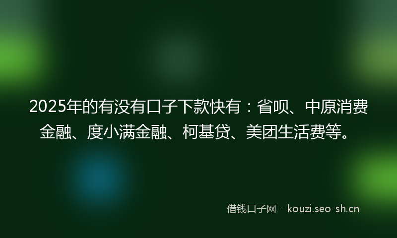 2025年的有没有口子下款快有：省呗、中原消费金融、度小满金融、柯基贷、美团生活费等。