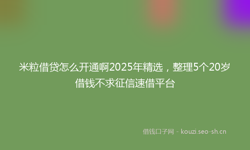米粒借贷怎么开通啊2025年精选，整理5个20岁借钱不求征信速借平台