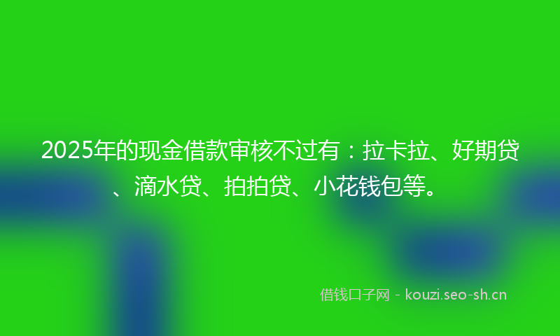 2025年的现金借款审核不过有：拉卡拉、好期贷、滴水贷、拍拍贷、小花钱包等。