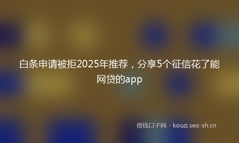白条申请被拒2025年推荐，分享5个征信花了能网贷的app