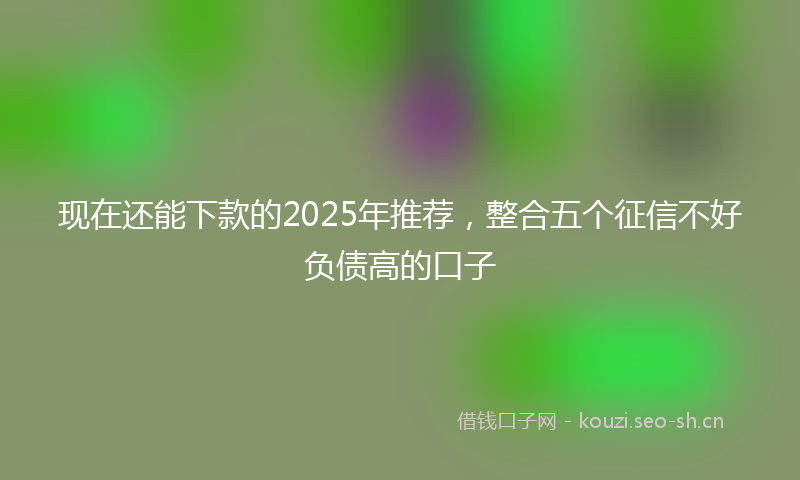 现在还能下款的2025年推荐，整合五个征信不好负债高的口子
