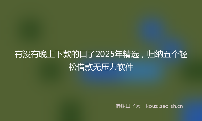 有没有晚上下款的口子2025年精选，归纳五个轻松借款无压力软件