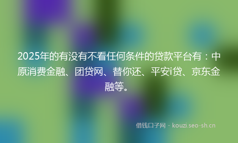 2025年的有没有不看任何条件的贷款平台有：中原消费金融、团贷网、替你还、平安i贷、京东金融等。