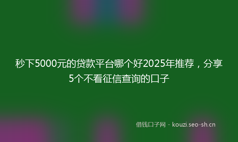 秒下5000元的贷款平台哪个好2025年推荐，分享5个不看征信查询的口子