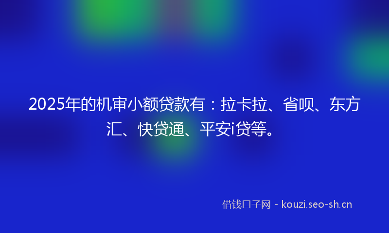 2025年的机审小额贷款有：拉卡拉、省呗、东方汇、快贷通、平安i贷等。