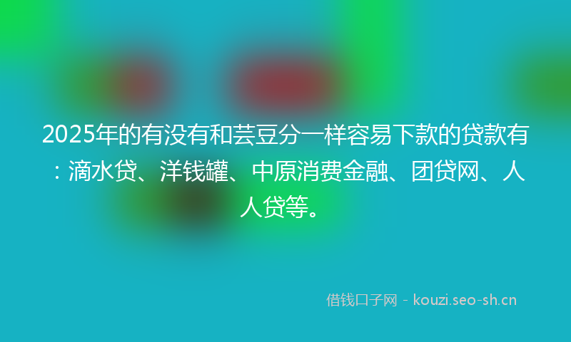 2025年的有没有和芸豆分一样容易下款的贷款有：滴水贷、洋钱罐、中原消费金融、团贷网、人人贷等。