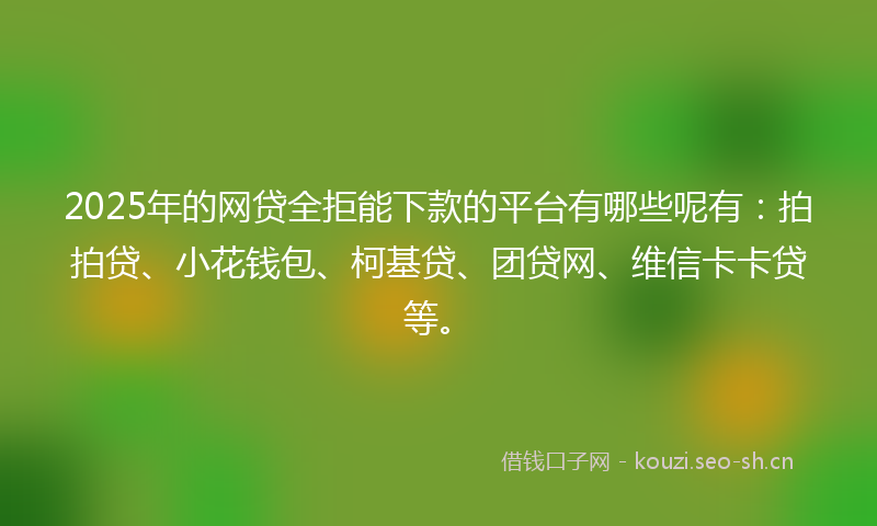 2025年的网贷全拒能下款的平台有哪些呢有：拍拍贷、小花钱包、柯基贷、团贷网、维信卡卡贷等。