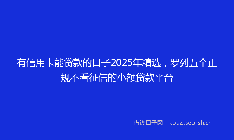 有信用卡能贷款的口子2025年精选，罗列五个正规不看征信的小额贷款平台