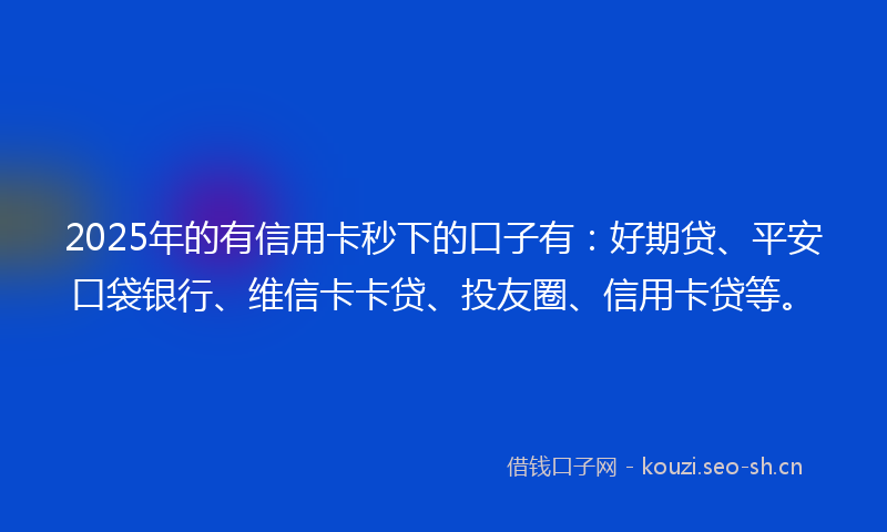 2025年的有信用卡秒下的口子有：好期贷、平安口袋银行、维信卡卡贷、投友圈、信用卡贷等。