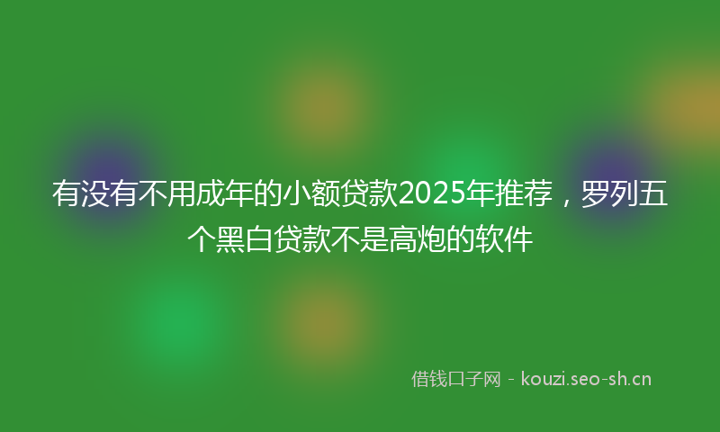 有没有不用成年的小额贷款2025年推荐，罗列五个黑白贷款不是高炮的软件