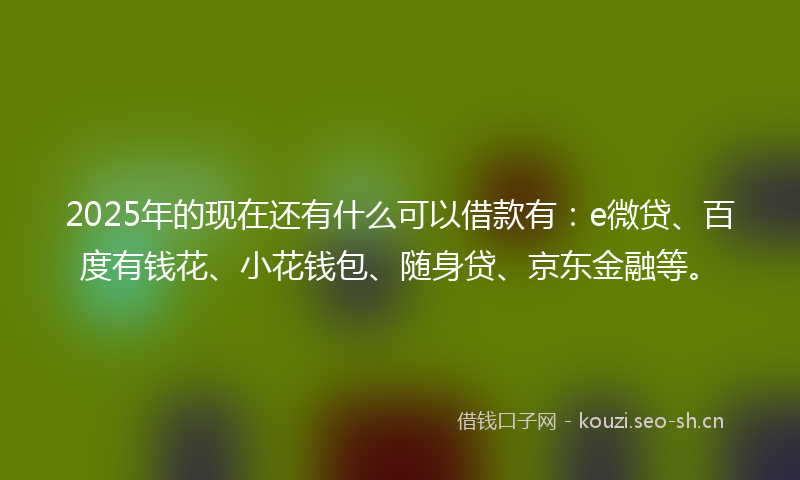 2025年的现在还有什么可以借款有：e微贷、百度有钱花、小花钱包、随身贷、京东金融等。