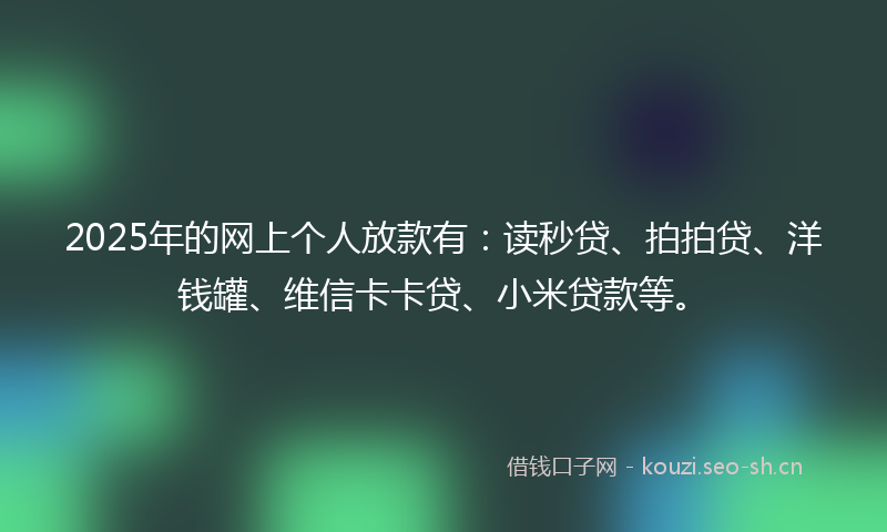 2025年的网上个人放款有：读秒贷、拍拍贷、洋钱罐、维信卡卡贷、小米贷款等。