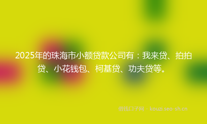 2025年的珠海市小额贷款公司有：我来贷、拍拍贷、小花钱包、柯基贷、功夫贷等。