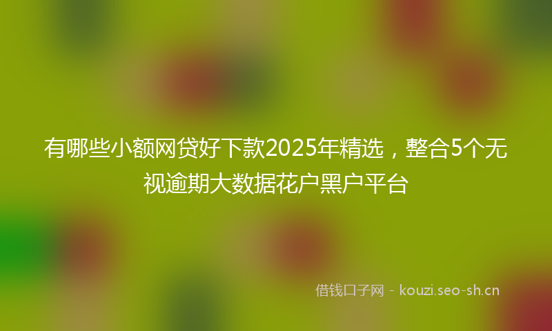 有哪些小额网贷好下款2025年精选，整合5个无视逾期大数据花户黑户平台