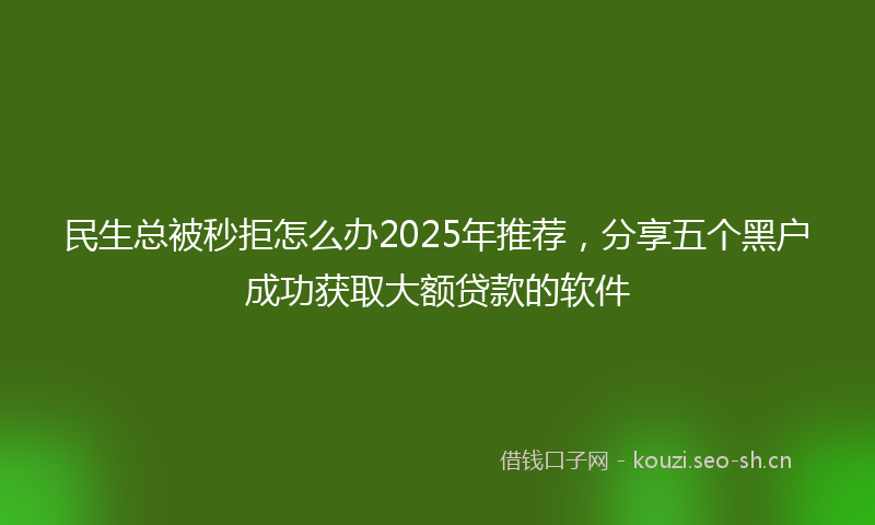 民生总被秒拒怎么办2025年推荐，分享五个黑户成功获取大额贷款的软件