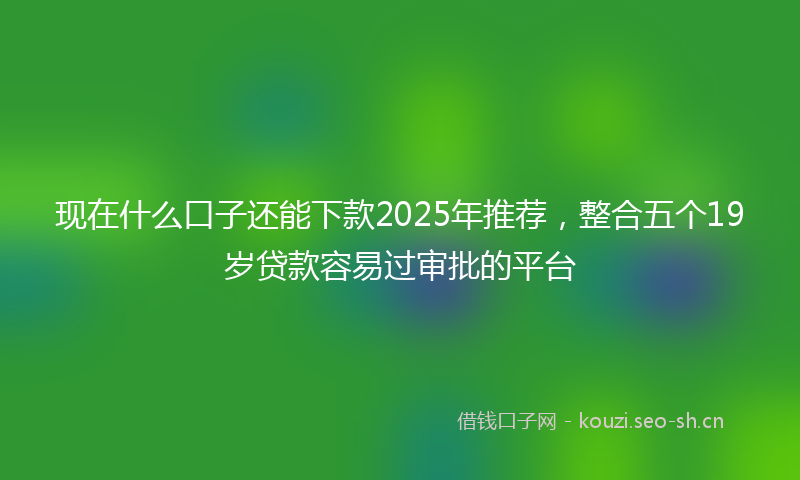 现在什么口子还能下款2025年推荐，整合五个19岁贷款容易过审批的平台