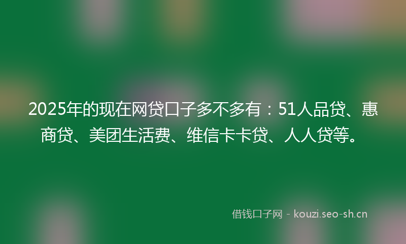 2025年的现在网贷口子多不多有：51人品贷、惠商贷、美团生活费、维信卡卡贷、人人贷等。