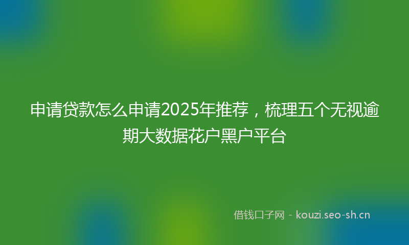 申请贷款怎么申请2025年推荐，梳理五个无视逾期大数据花户黑户平台