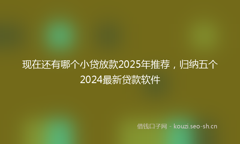 现在还有哪个小贷放款2025年推荐，归纳五个2024最新贷款软件
