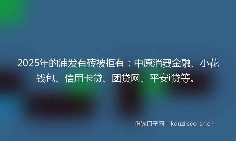 2025年的浦发有砖被拒有：中原消费金融、小花钱包、信用卡贷、团贷网、平安i贷等。