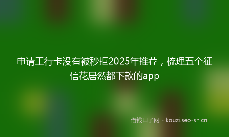 申请工行卡没有被秒拒2025年推荐，梳理五个征信花居然都下款的app
