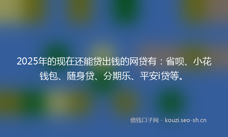 2025年的现在还能贷出钱的网贷有：省呗、小花钱包、随身贷、分期乐、平安i贷等。