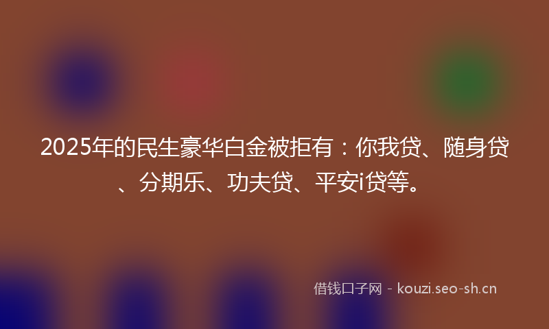 2025年的民生豪华白金被拒有：你我贷、随身贷、分期乐、功夫贷、平安i贷等。