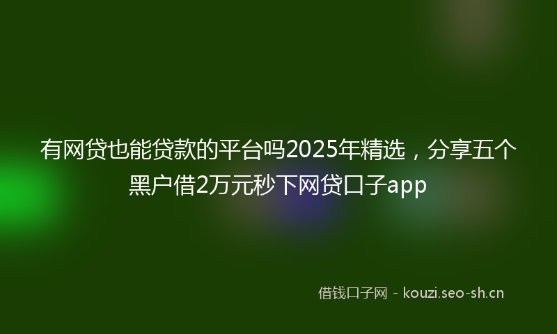 有网贷也能贷款的平台吗2025年精选，分享五个黑户借2万元秒下网贷口子app