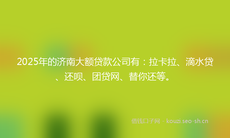 2025年的济南大额贷款公司有:拉卡拉、滴水贷、还呗、团贷网、替你还等。