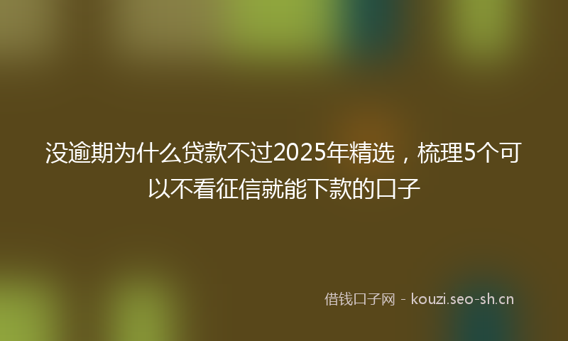 没逾期为什么贷款不过2025年精选，梳理5个可以不看征信就能下款的口子