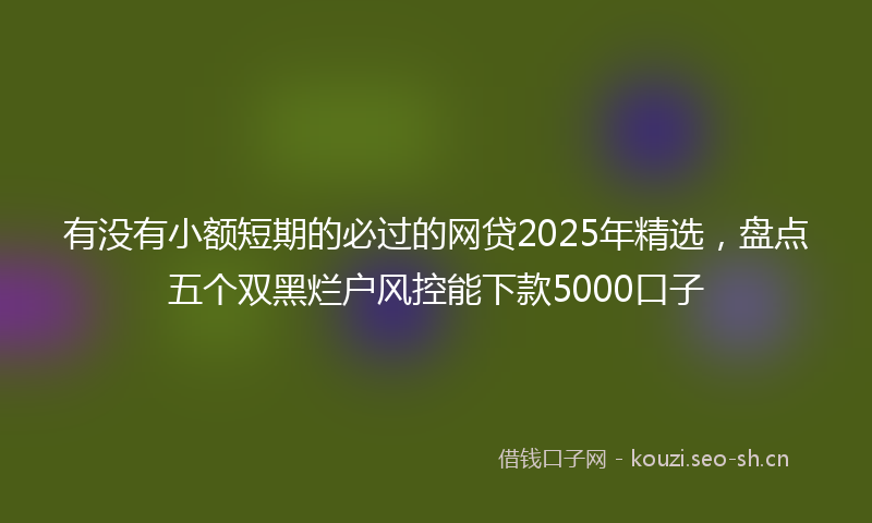 有没有小额短期的必过的网贷2025年精选，盘点五个双黑烂户风控能下款5000口子