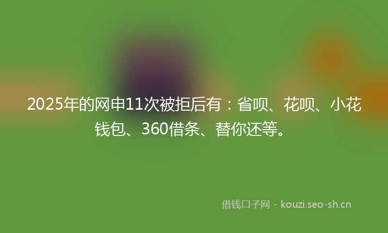 2025年的网申11次被拒后有：省呗、花呗、小花钱包、360借条、替你还等。