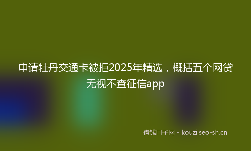申请牡丹交通卡被拒2025年精选，概括五个网贷无视不查征信app